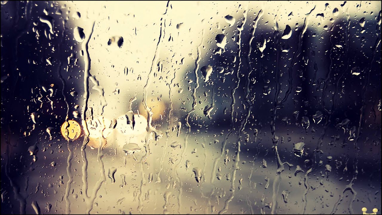 Ebba Forsberg - Jag ska helst inte alls bli kär i dig