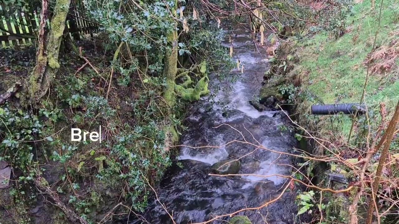 Flowing water for Anexity and Focus Ep3