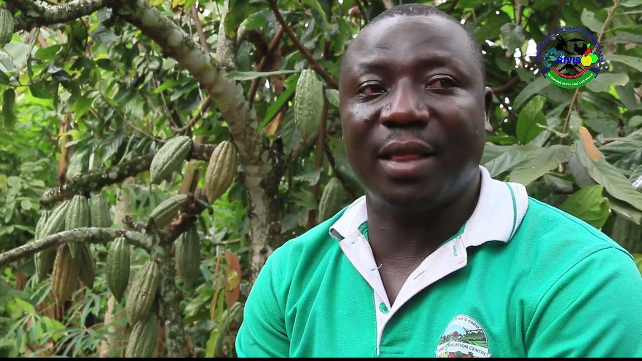 What you need to know about Cocoa Farming