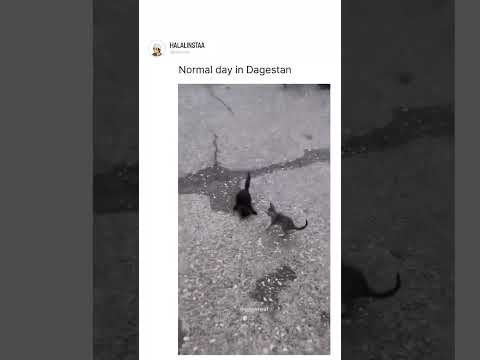 Normal day in Dagestan