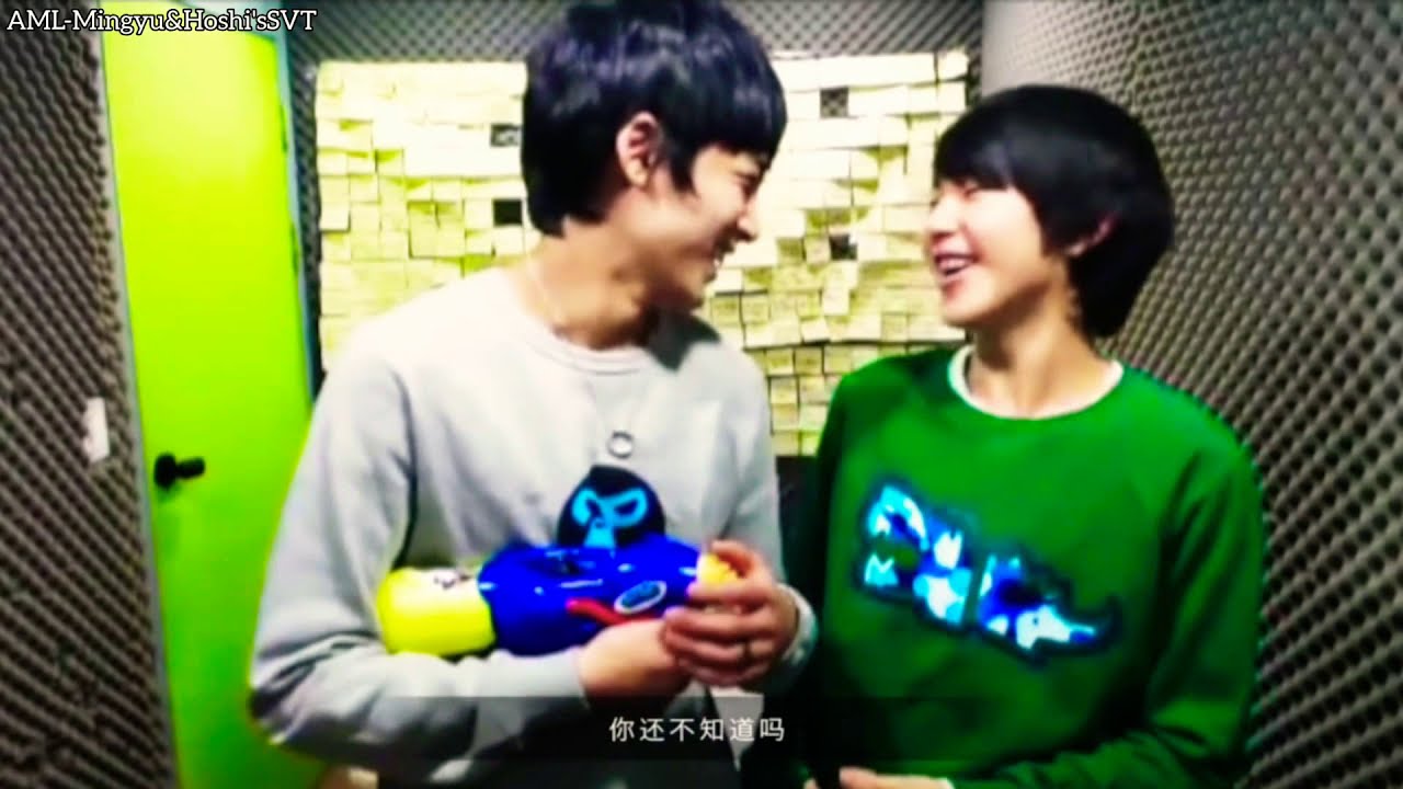 [Hoshi×Mingyu] GyuSoon MinSoon moments❤