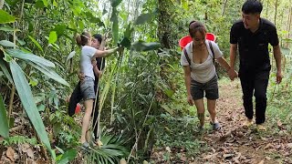 The single mother was happy when she went to collect firewood with the landowner  Lý Thị Hương )