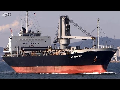 【 船積みトランク 】　光緒年間　日本統治台湾製　総革　双喜蝙蝠吉祥文 hqdefault.jpg