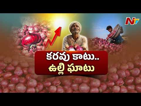 Kurnool : ఉల్లి పంటపై ఎల్ నినో ఎఫెక్ట్.. వర్షాల కోసం ఎదురుచూస్తున్న కర్నూలు రైతులు | NTV Telugu - NTVTELUGU