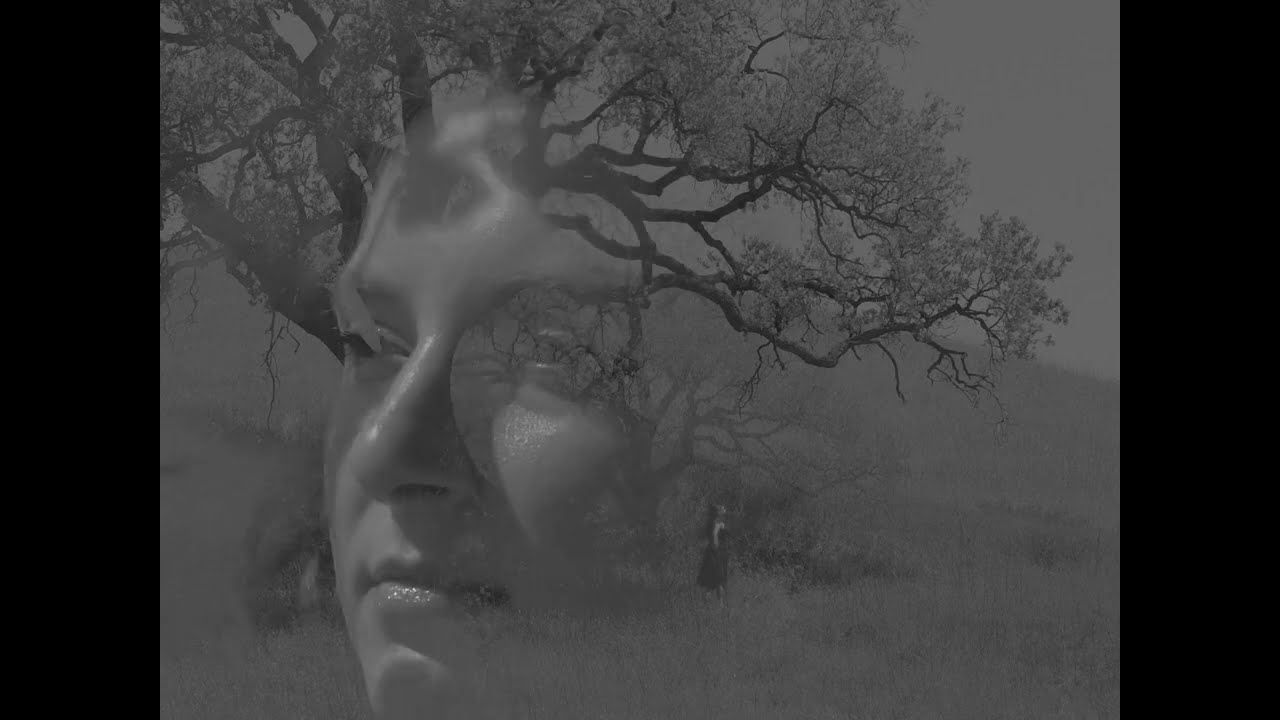 Watch Sophie Rose - If A Tree Falls (Visualizer) on YouTube Watch Sophie Rose - If A Tree Falls (Visualizer) on YouTube