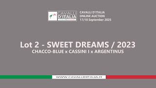 Lot 2 - SWEET DREAMS \/ 2023