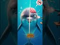 «😱 Животное, которое спит мозгом наполовину! | Факт о дельфинах, который шокирует» #shorts  #факты