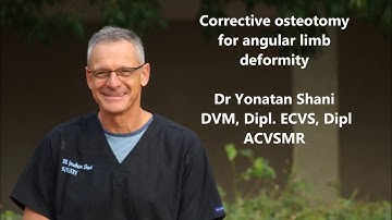 Angular limb deformity  corective osteotomy