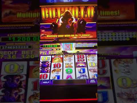 almost grand jackpot but it