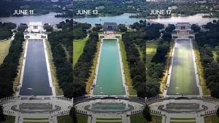 Trump says Reflecting Pool repairs will begin immediately after vandalism arrests