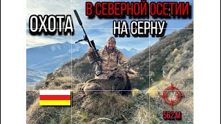видео: Сокрушительная #горнаяохота на 562 метра!💯✅🎯 #трофейнаяохота на серну в Северной Осетии! #охота  картинка: Сокрушительная #горнаяохота на 562 метра!💯✅🎯 #трофейнаяохота на серну в Северной Осетии! #охота