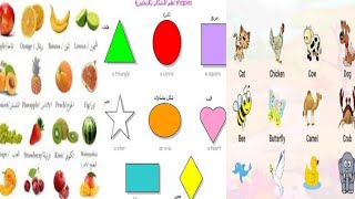 تعلم الانجليزيه#تعلم اسماء الألوان والأشكال والحيوانات بالانجليزية