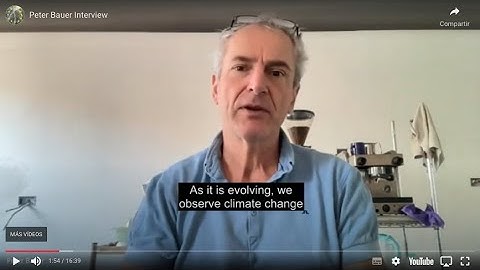 Peter Bauer Interview