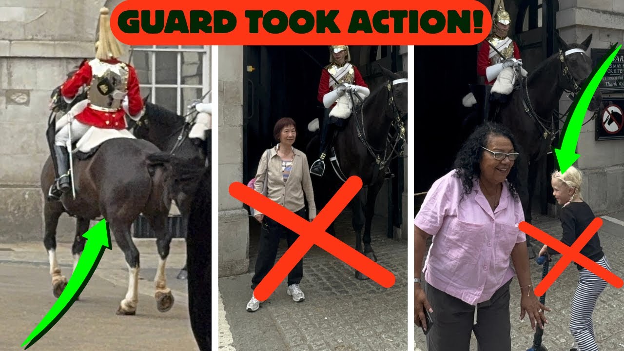 🍎APPLE Offer: GUARDS vs. TOURISTS: Royal Line Rule Enforced! 🫡