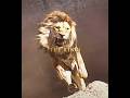 I Will Never Forget You Dad “Mufasa Simba” “The Lion King” Edit丨Kamin Emin JONY Slowed I Will Never Forget You Dad “Mufasa Simba” “The Lion King” Edit丨Kamin Emin JONY Slowed