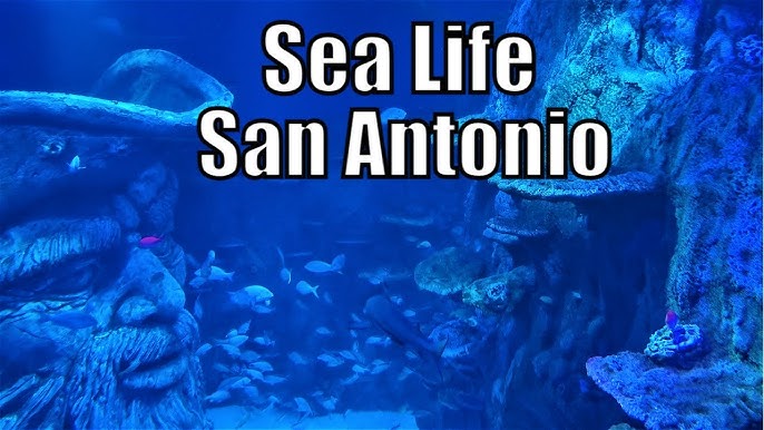 These Rescue Puppies Had a 'Ball' Exploring the SEA LIFE Aquarium at the  Mall of America