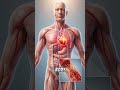 Eat Sugar This Is Exactly What Happens Inside Your Brain & Body