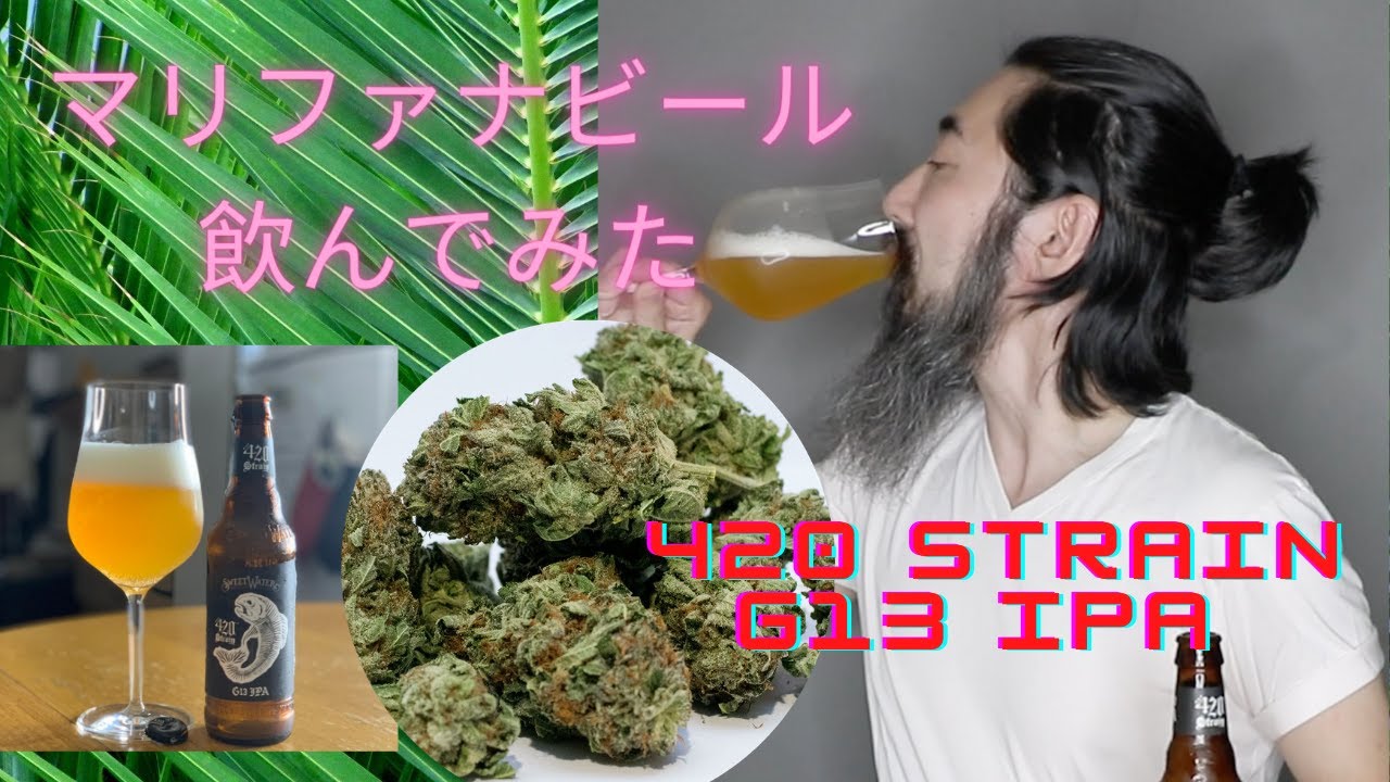 [ビール紹介]　420 ストレイン G13 IPA編　420 Strain G13 IPA