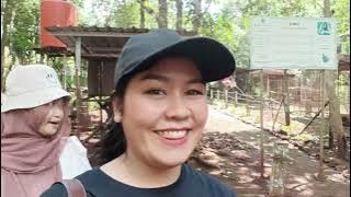 The Beauty of Tahura Sultan Adam | Tourist Spot at South Kalimantan