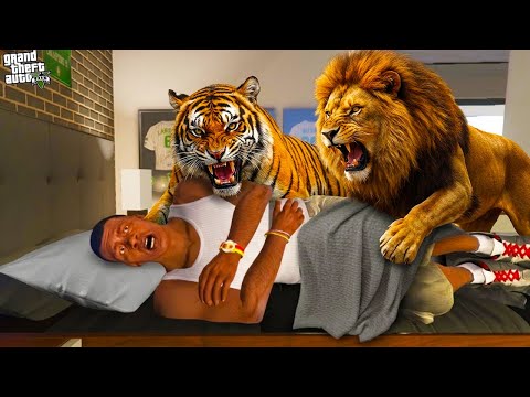 ФРАНКЛИН ҮЙІНЕ ЖОЛБАРЫСТАР КІРІП КЕТТІ (GTA V)