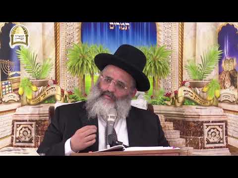 שידור חי מהסוכה של הרב ישראל אברג'ל שליט"א, בנו וממשיך דרכו של הרב יורם אברג'ל זיע"א