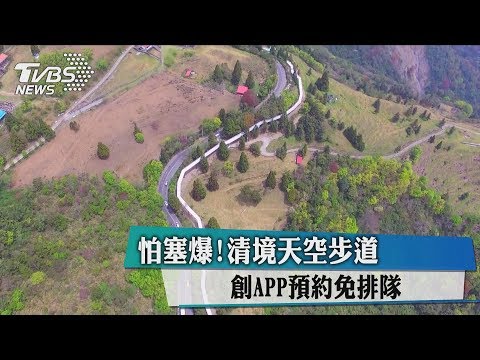 怕塞爆！清境天空步道 創APP預約免排隊
