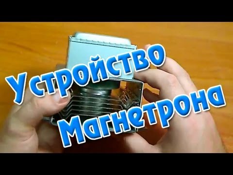 неумывакин о паразитах в организме неумывакин о паразитах в организме