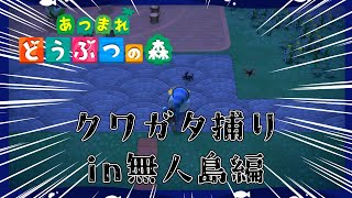 【チル雑談配信】クワガタを求めて、島へ。【あつ森】