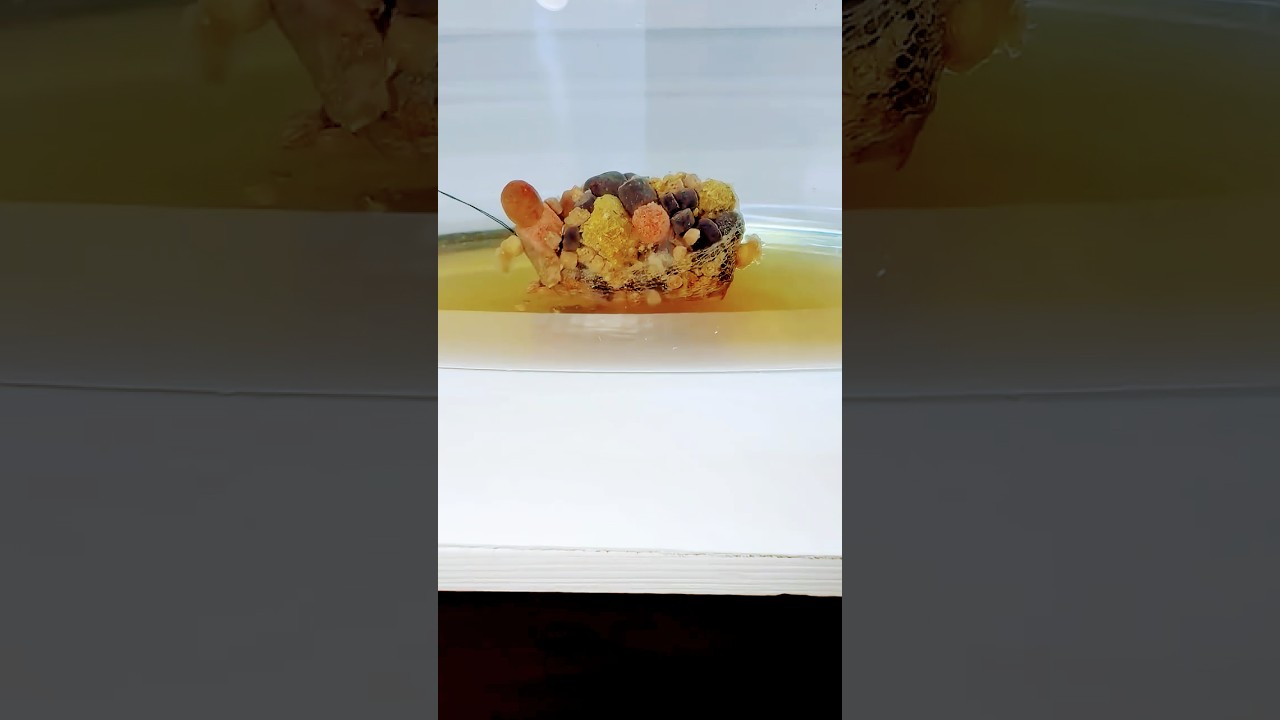 Stick по ХОЛОДНОЙ ВОДЕ 