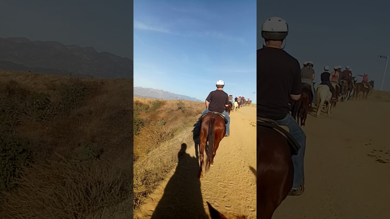 Horse riding to Hollywood sign YouTube