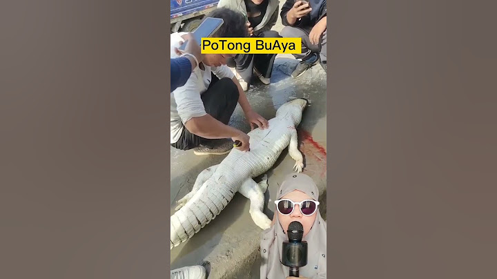 PoTonG BuaYa #shorts #viral #shortvideo #trending