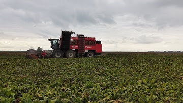Bieten rooien met de Sixx Traxx 17-10-2025