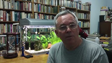 How to Avoid Making Careless Errors in Exams