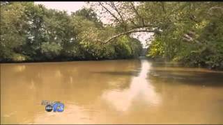 French Broad River Contamination