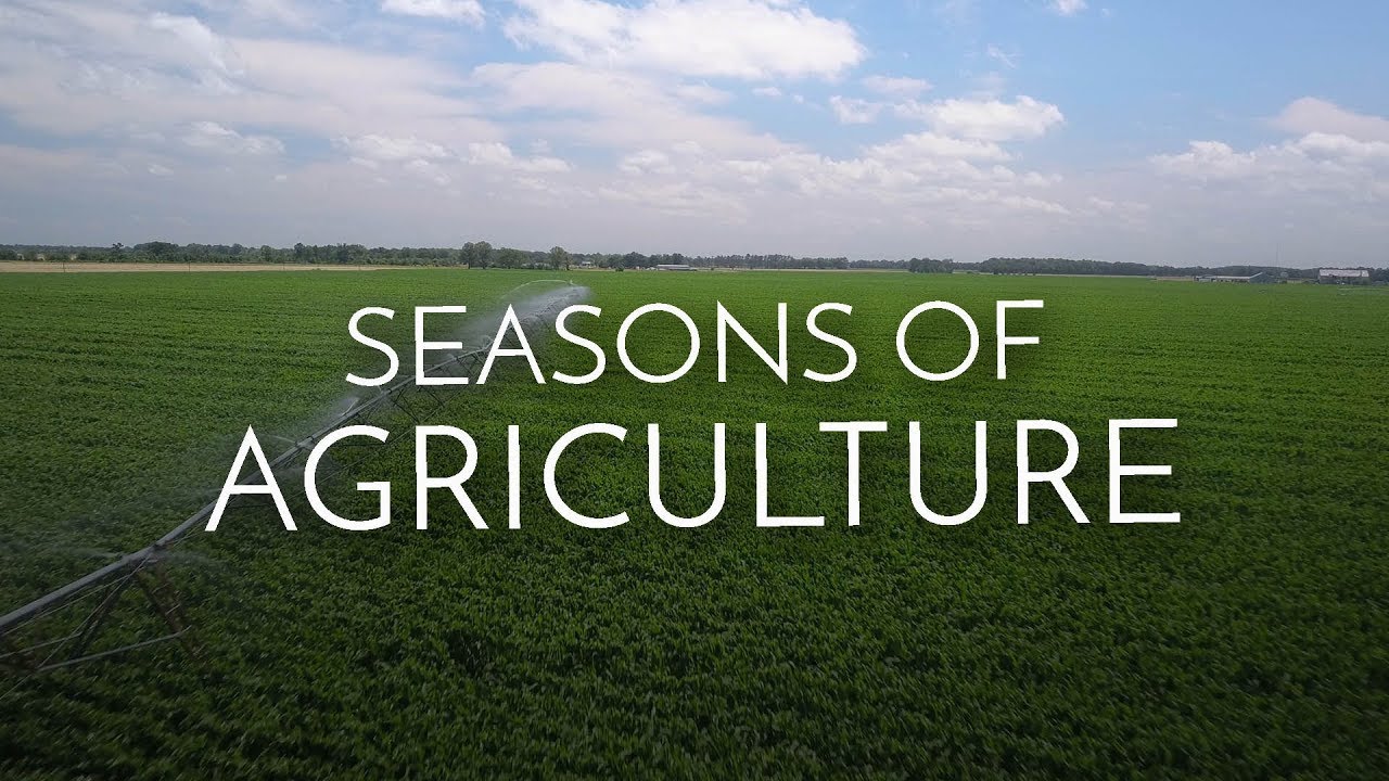Seasons of Agriculture YouTube