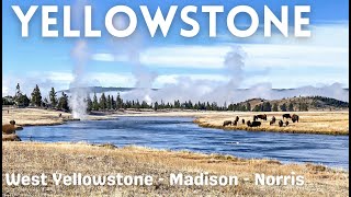 Yellowstone  Tour of West Yellowstone Madison & Norris Basin  Day 2 of 4