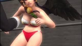 DOA5LR: JANN BELLY PUNCH ALL GIRLS RYONA (BIKINIS)