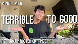 Planty Vlog | Bad to Good News 🥹 & Potting Up some Rooted Cuttings!