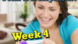 Fetal Development Week 4 Pregnancy Health Guru