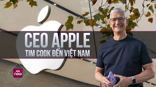CEO Apple Tim Cook có mặt ở Việt Nam, gặp gỡ nhiều nhân vật bất ngờ | VTC Now