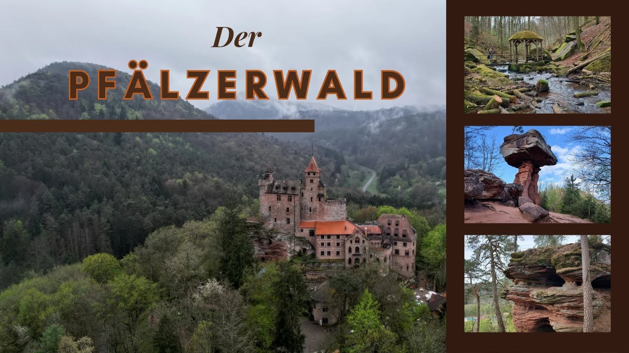 Der Pfälzerwald. Wandern im Dahner Felsenland