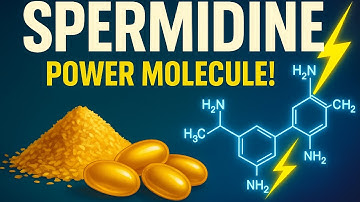 Spermidine Unveiled: The Science Behind Your Cells’ Longevity Molecule