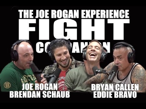 Joe Rogan Experience - Fight Companion - September 7, 2019