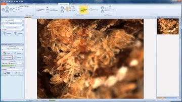 DeltaPix InSight   Automatic Extended Focus