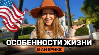 Особенности жизни в Америке | Часть 1 | У меня новости