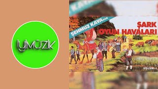 Şehmuz Kaya - Çaçan Resimi