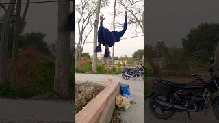 khatrank backflip😳😳 || #khatrank #backflip #reelsvideo #trending #song #viral #reelsvideo