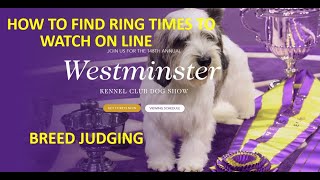 How to Watch Westminster Breed Judging How to Find the Ring Number and Time