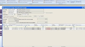 TUTORIAL NEODATA ERP 2009 09 Pagos a Proveedores