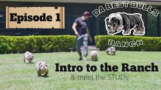 DaBestBulls Ranch  Episode 1  Intro